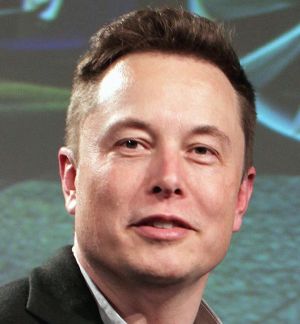 Elon Musk Royal Society (crop2).jpg